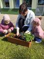 projekt edukacyjny Przyjaciele Ziemi Krasnoludki.jpg